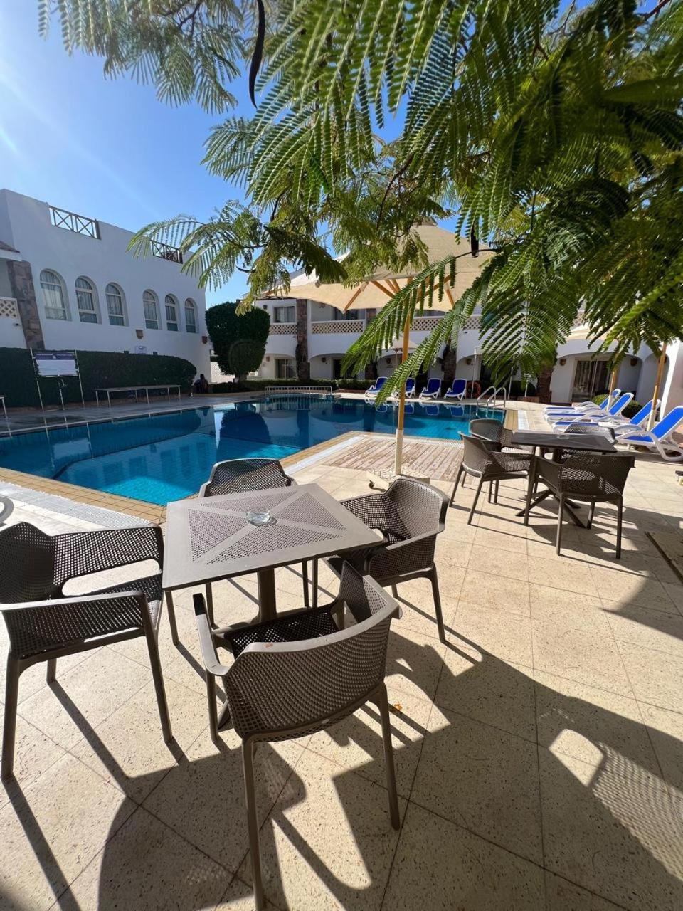 Camel Dive Club & Hotel - Boutique Hotel シャルム・エル・シェイク エクステリア 写真