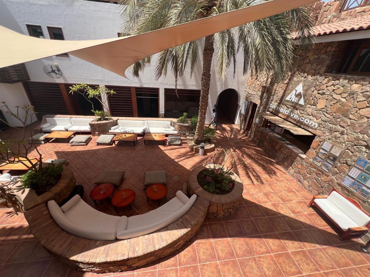 Camel Dive Club & Hotel - Boutique Hotel シャルム・エル・シェイク エクステリア 写真